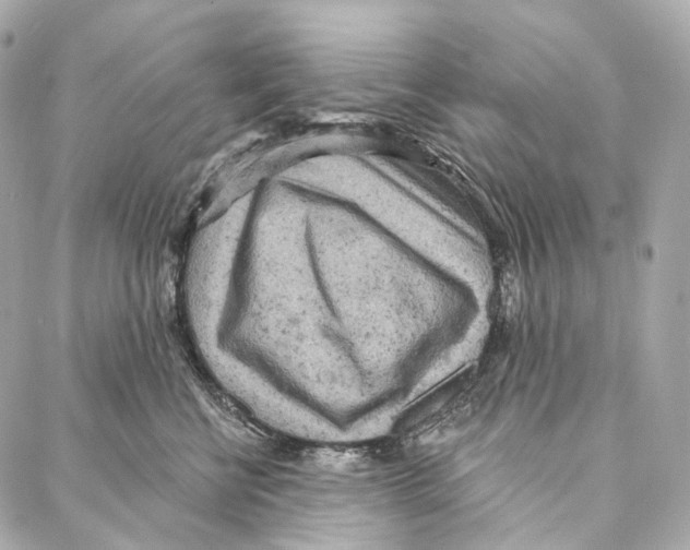 X0000087000570200705141809