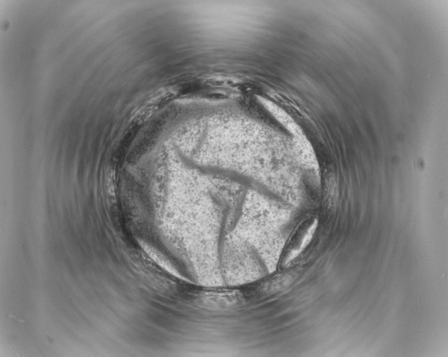 X0000087000571200705141809
