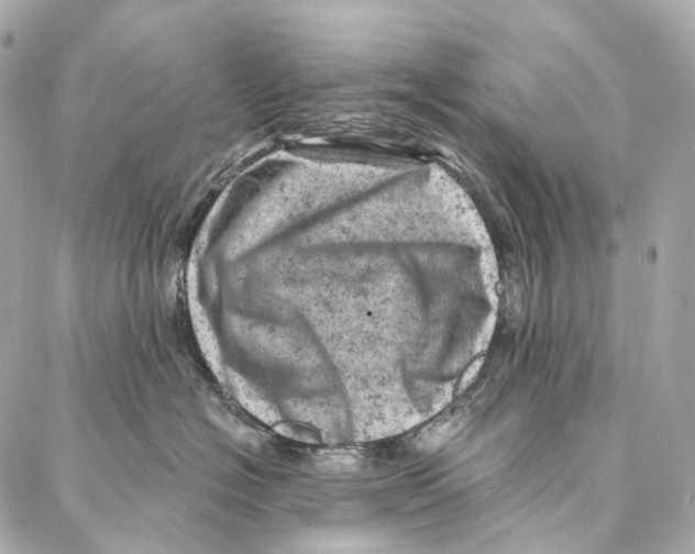 X0000087000574200705141809