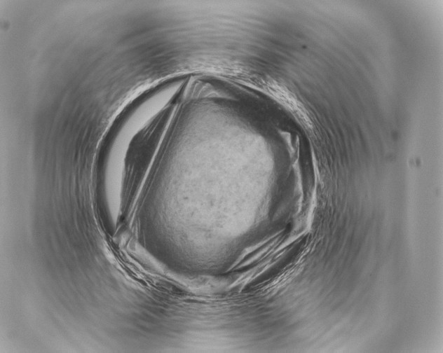 X0000087000580200705141808