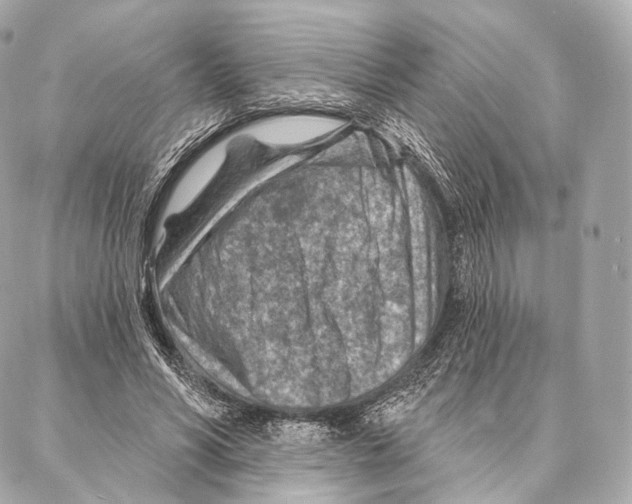 X0000087000590200705141808