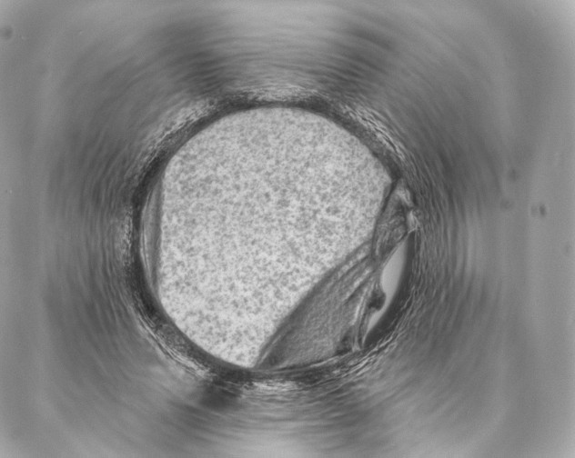 X0000087000591200705141808