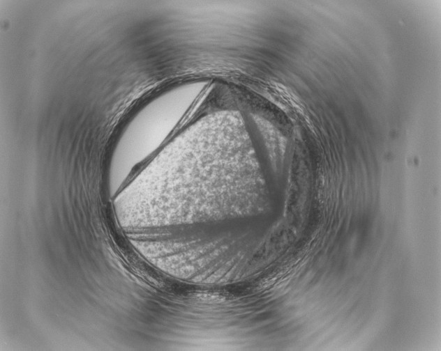 X0000087000596200705141808