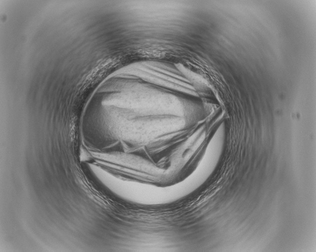 X0000087000600200705141808