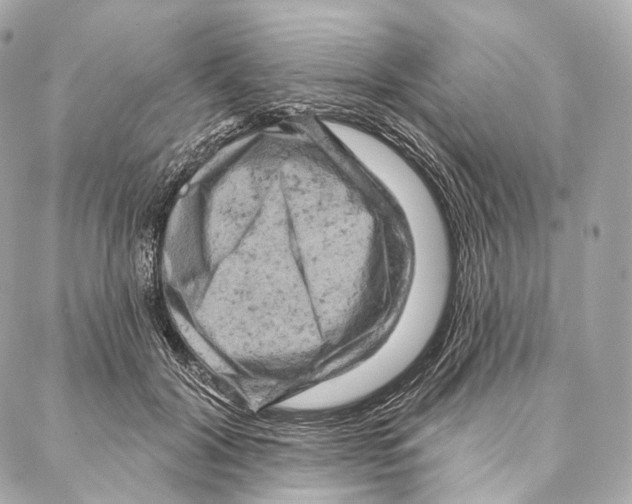 X0000087000604200705141808