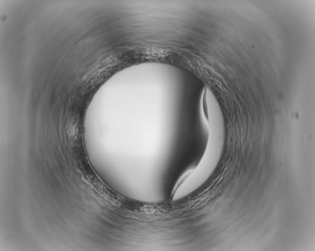 X0000087000608200705141808
