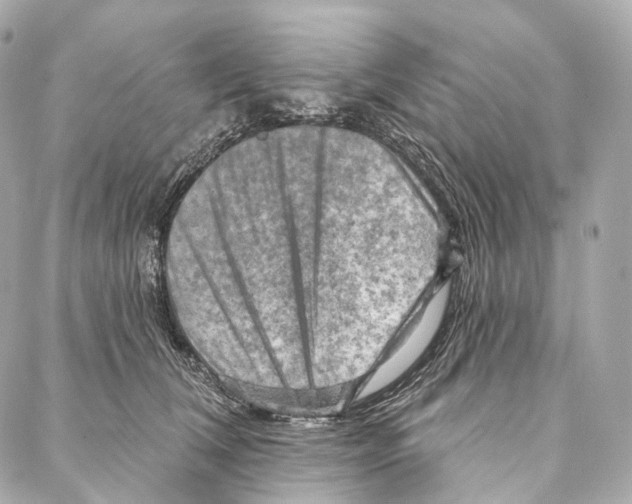 X0000087000612200705141808