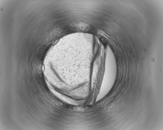 X0000087000613200705141808