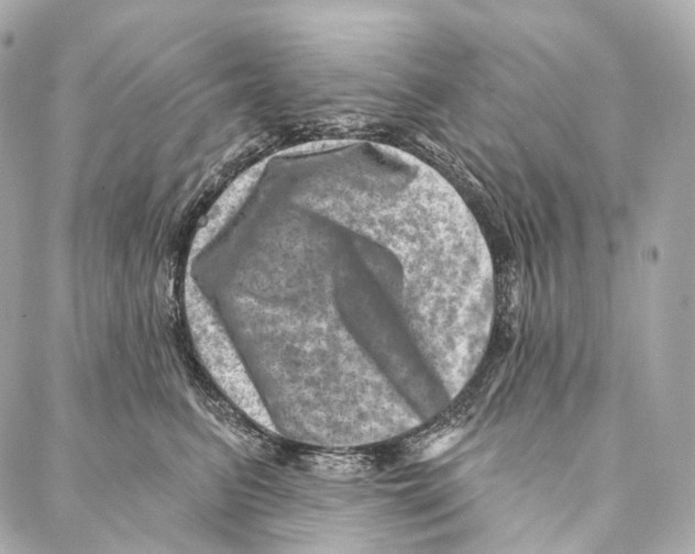 X0000087000615200705141807