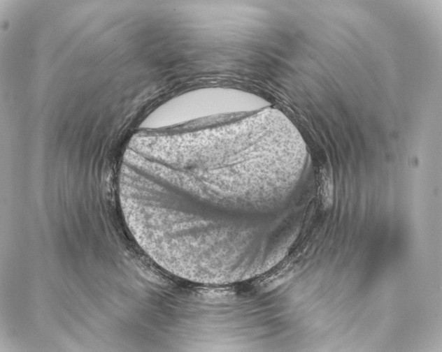 X0000087000619200705141807