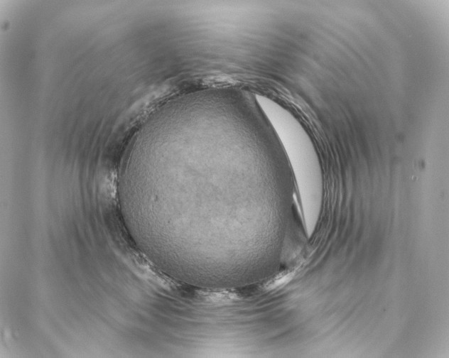 X0000087000621200705141807