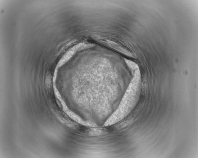 X0000087000623200705141807