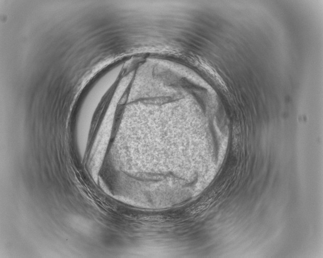 X0000087000628200705141807