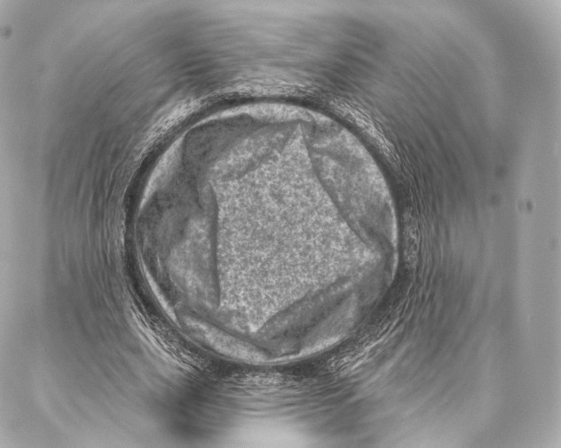 X0000087000631200705141807