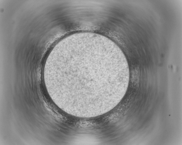 X0000087000632200705141807