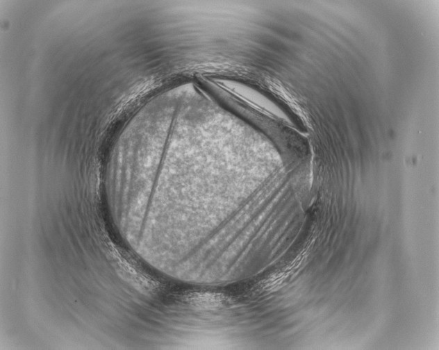 X0000087000637200705141807