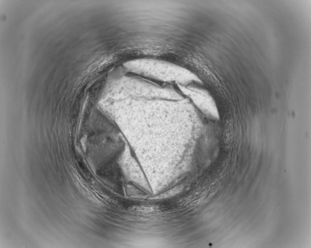X0000087000639200705141807