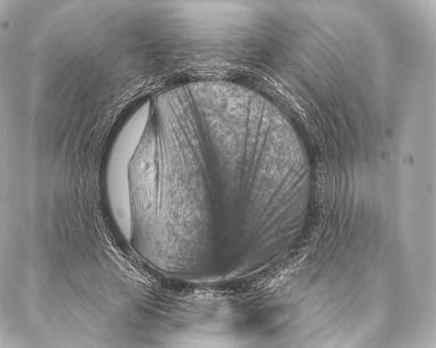 X0000087000641200705141807