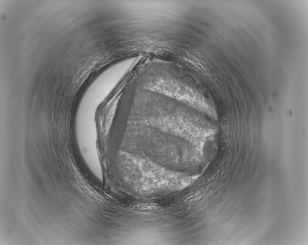 X0000087000642200705141807