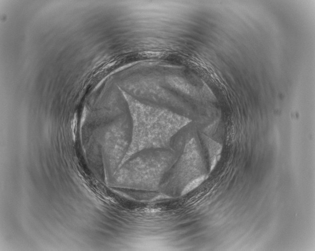X0000087000647200705141807