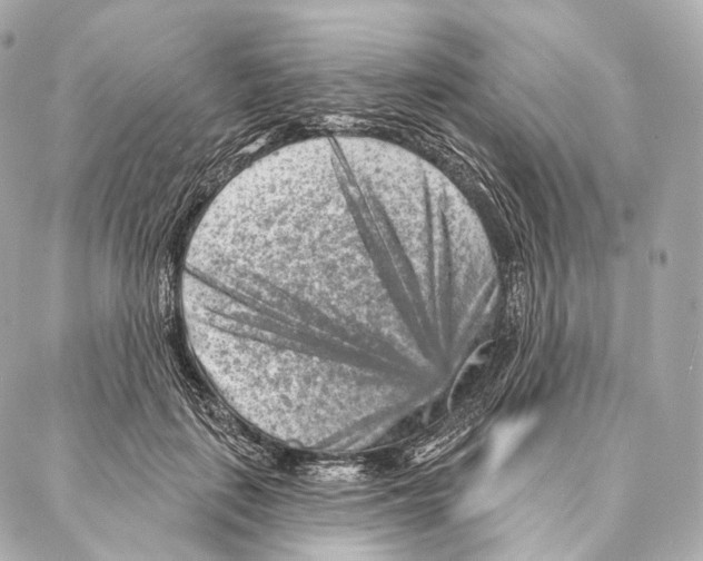 X0000087000651200705141807