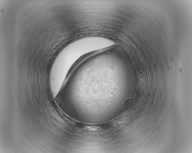 X0000087000654200705141807