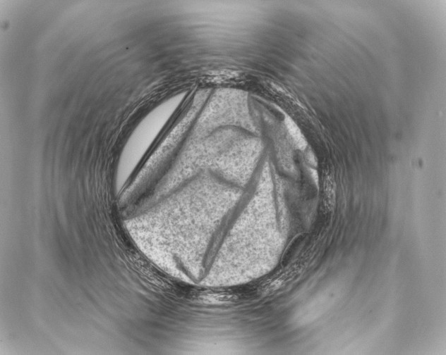 X0000087000657200705141807