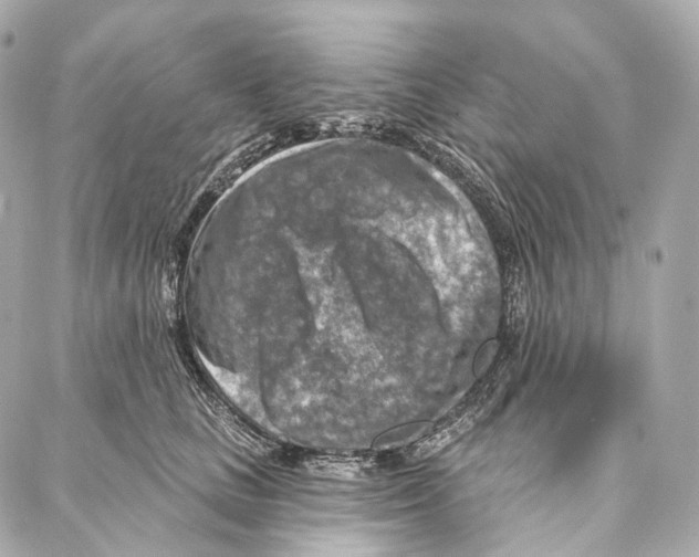 X0000087000661200705141807