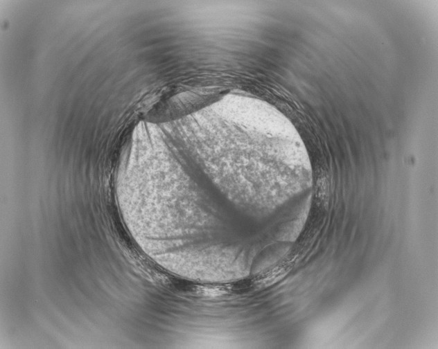 X0000087000662200705141807
