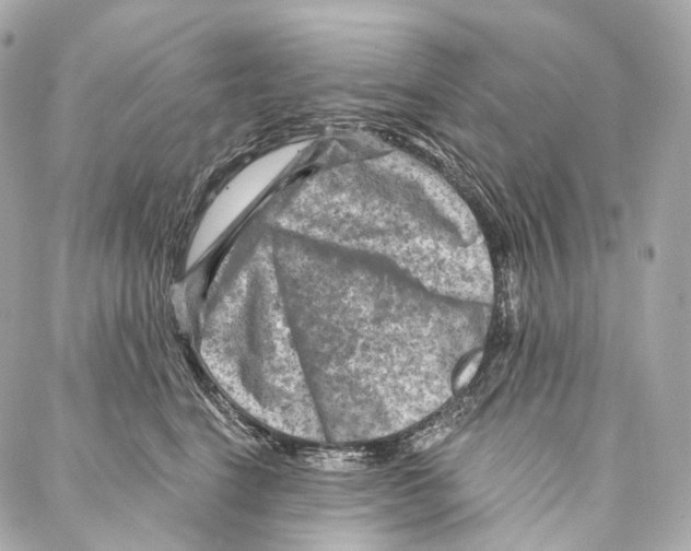 X0000087000664200705141807