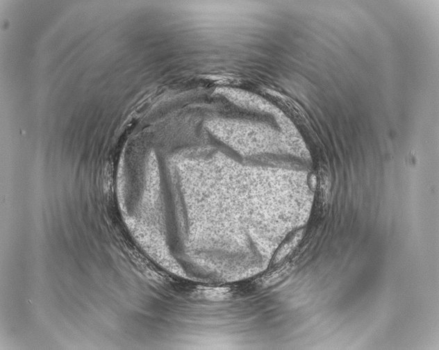 X0000087000665200705141807