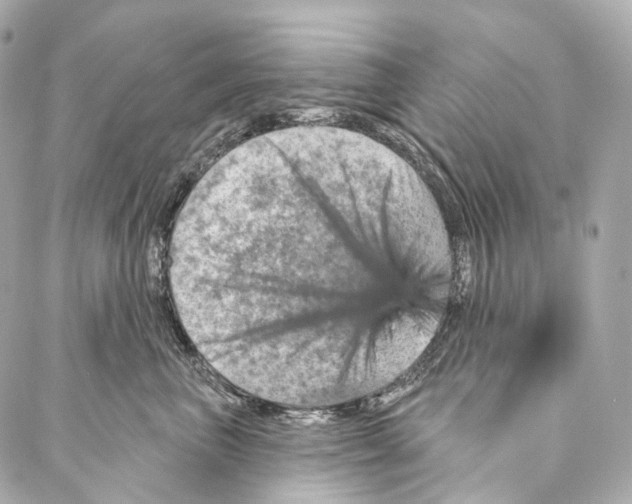 X0000087000667200705141807