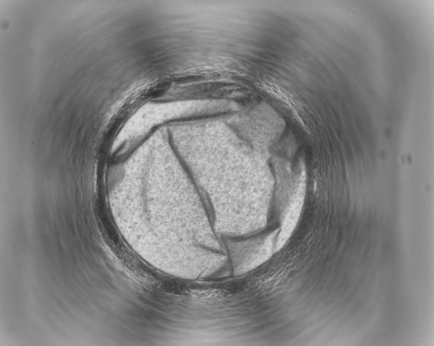 X0000087000686200705141806