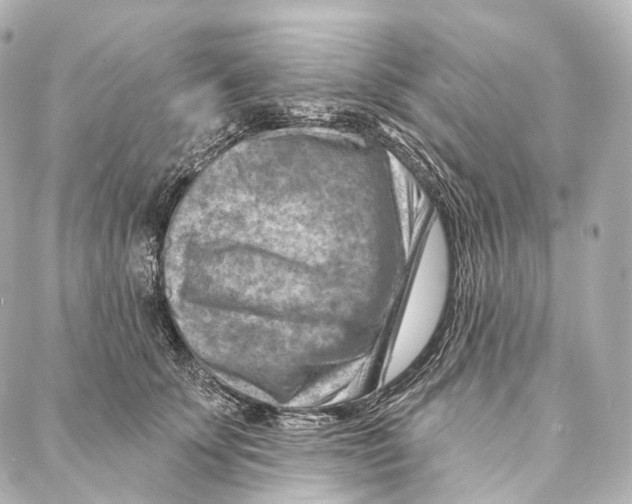 X0000087000707200705141806