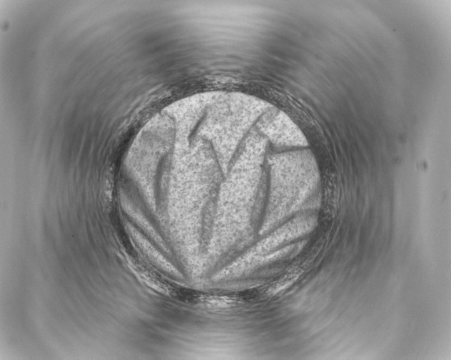 X0000087000710200705141806