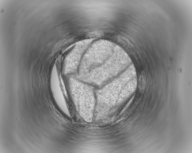 X0000087000714200705141806