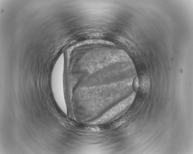 X0000087000715200705141806