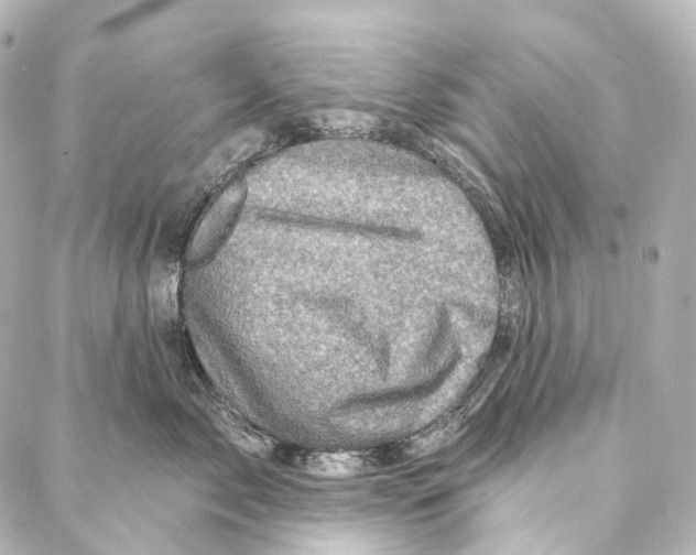 X0000087000717200705141806