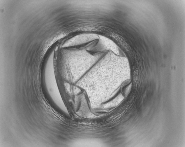 X0000087000727200705141805