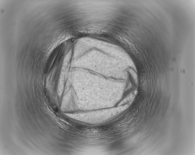 X0000087000735200705141805