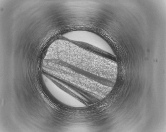 X0000087000742200705141805