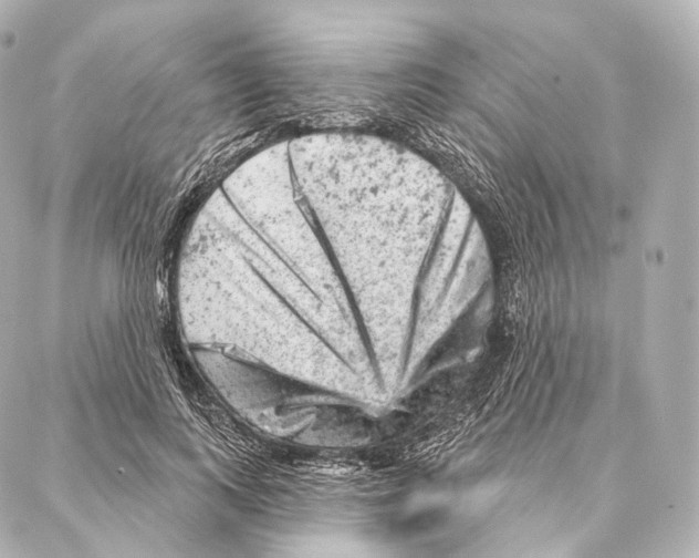 X0000087000743200705141805