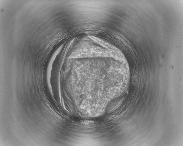 X0000087000748200705141805