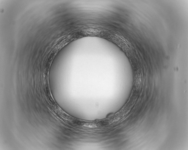 X0000087000749200705141805