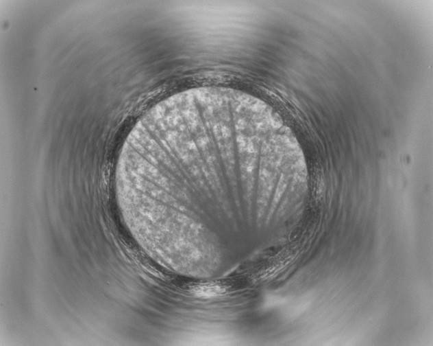 X0000087000759200705141806