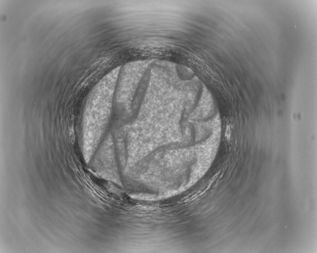 X0000087000771200705141805