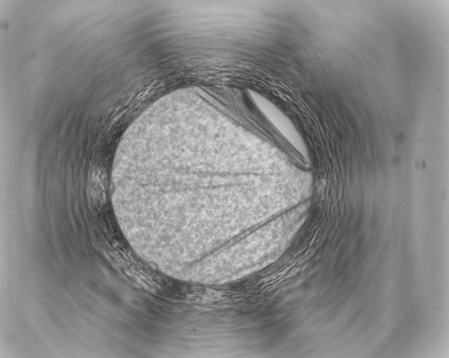 X0000087000772200705141805