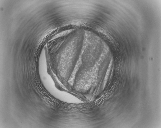 X0000087000776200705141805