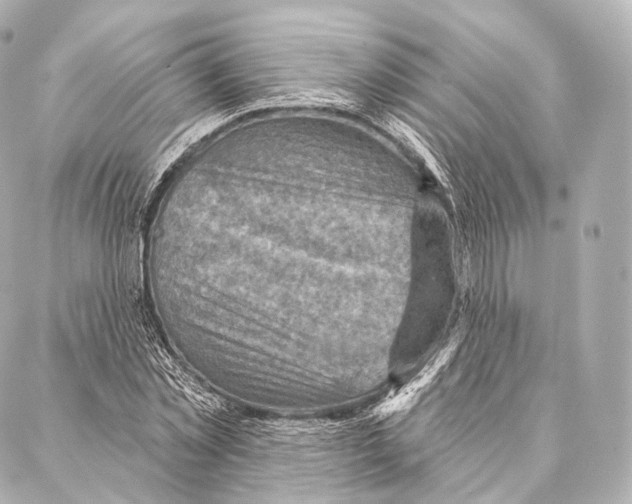 X0000087000781200705141805