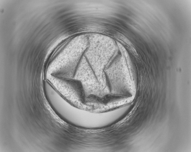 X0000087000796200705141805